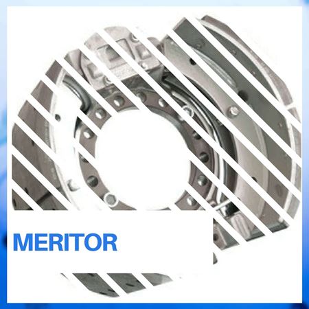 Picture for category Meritor