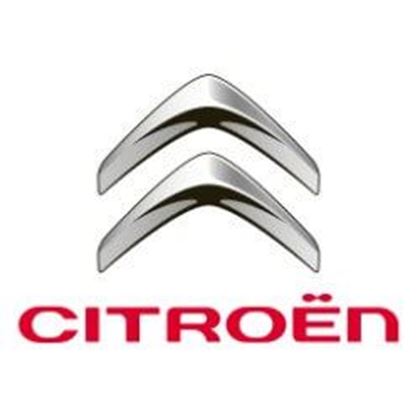 Picture for manufacturer Citröen